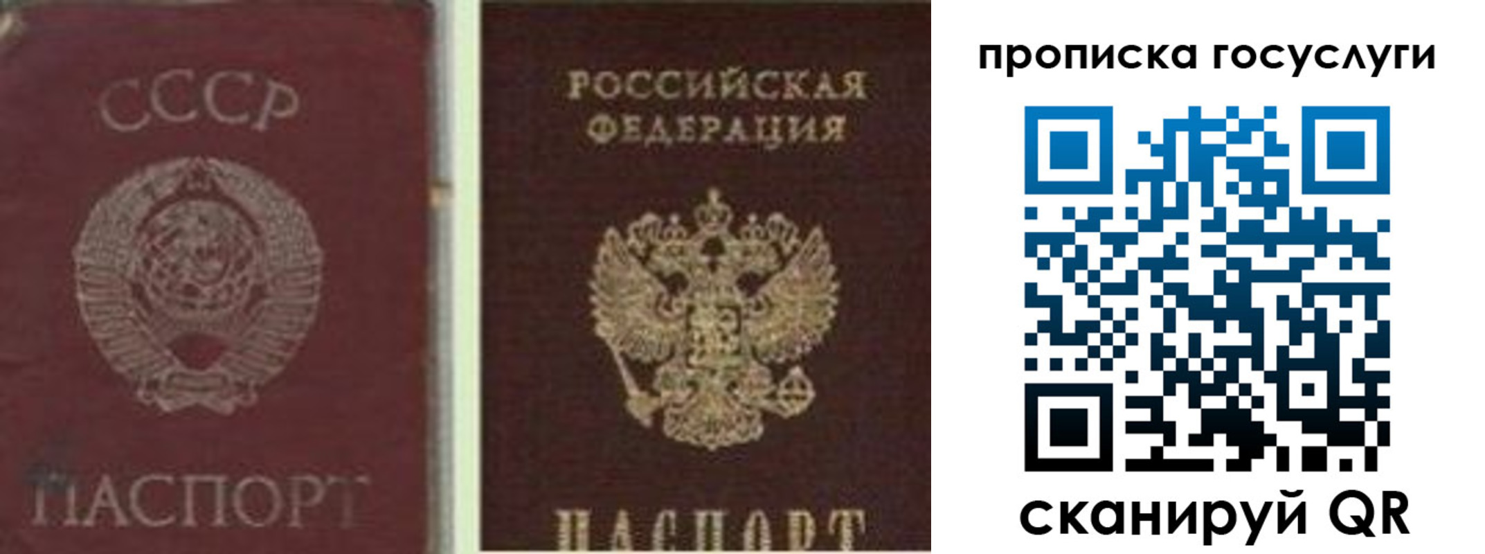 временная регистрация 2025 в Камешково